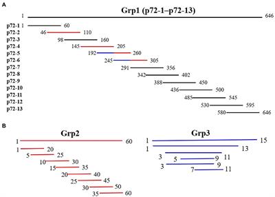 Identification of p72 epitopes of African swine fever virus and preliminary application